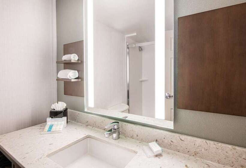 스탠다드 룸 킹사이즈 침대, Hilton Orlando