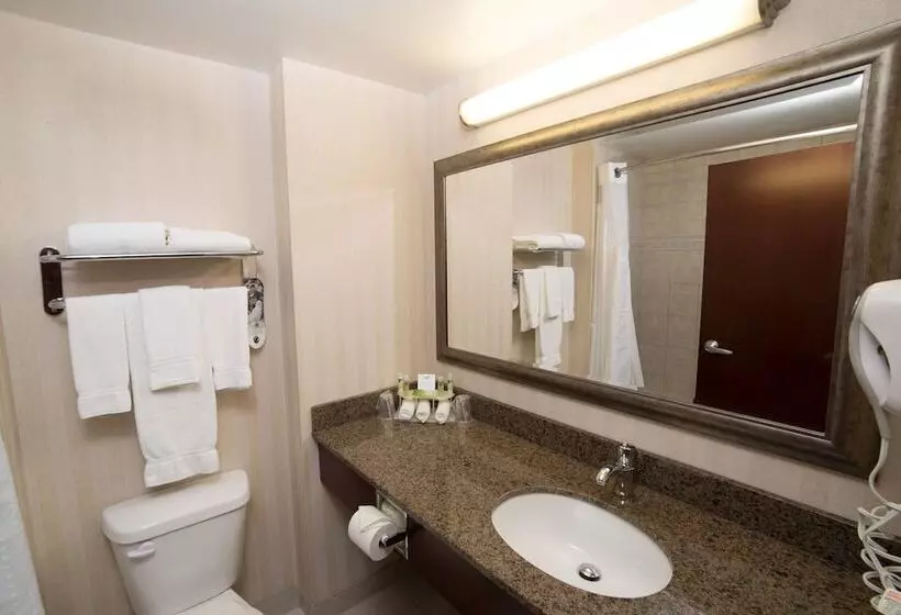 ２ダブルベッドのスタンダードルーム, Holiday Inn Express Hotel & Suites   Slave Lake, An Ihg