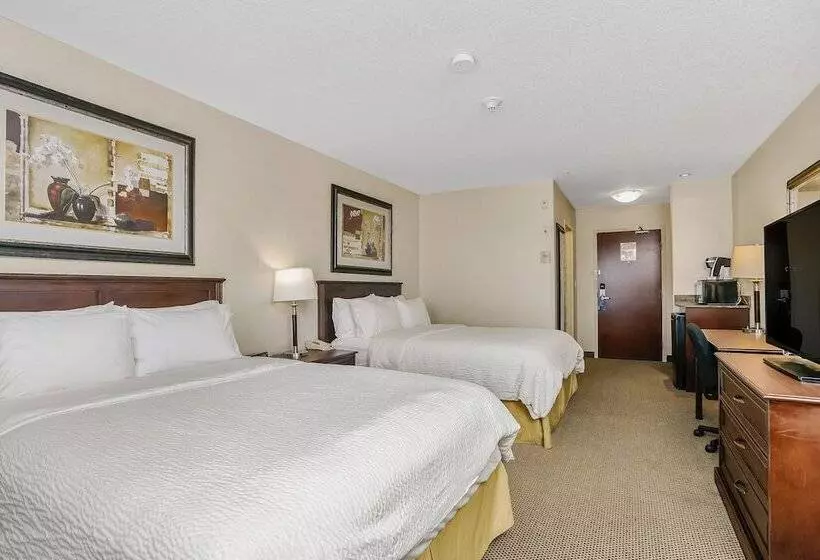 ２ダブルベッドのスタンダードルーム, Holiday Inn Express Hotel & Suites   Slave Lake, An Ihg
