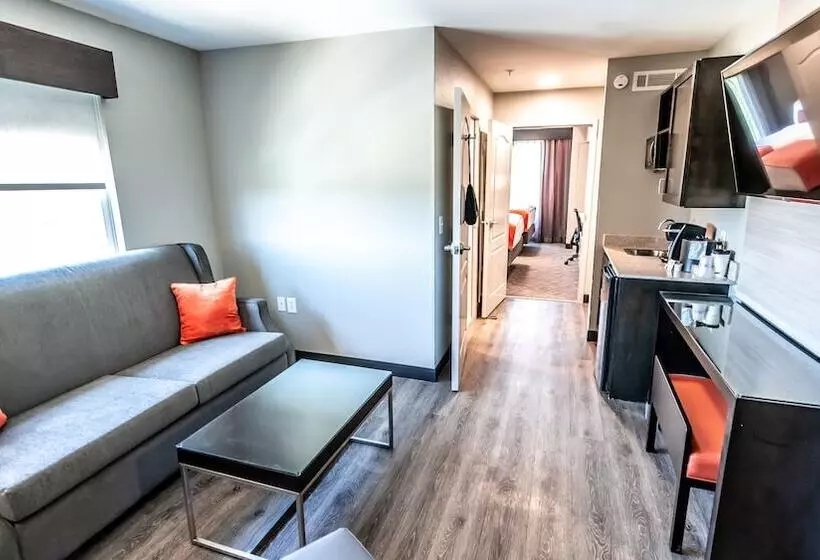 スイート, Springhill Suites By Marriott Conyers