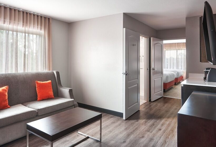 Люкс, Springhill Suites By Marriott Conyers