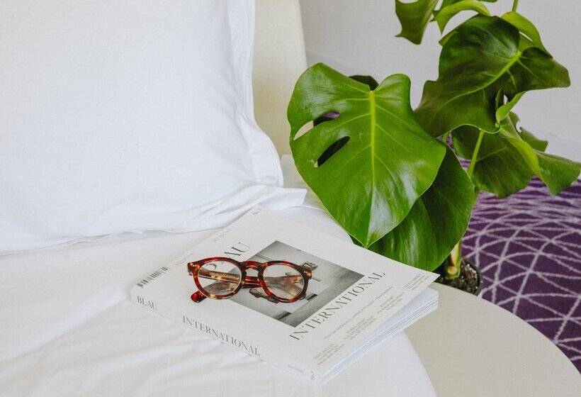 Номер Superior, My Brighton