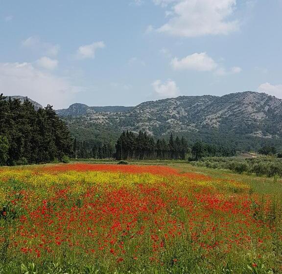 غرفة قياسية, Le Mas Des Anges