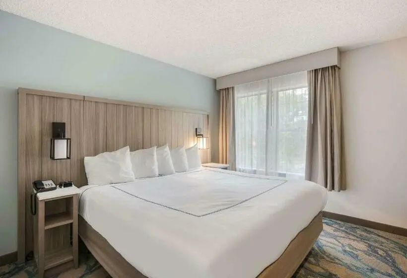 キングサイズベッドのスイートルーム, Heidel House Hotel And Conference Center, Ascend Hotel Collection