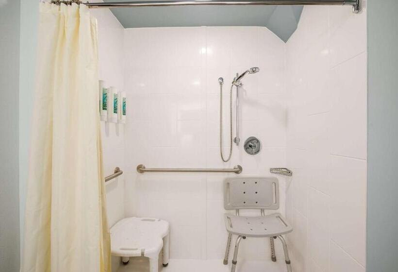 غرفة قياسية سرير كينج لذوى الإحتياجات الخاصة, Heidel House Hotel And Conference Center, Ascend Hotel Collection