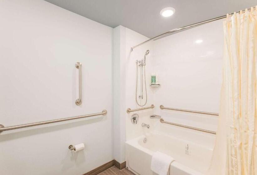 Номер Стандарт Кровать Кинг Адаптированный для Инвалидов, Heidel House Hotel And Conference Center, Ascend Hotel Collection