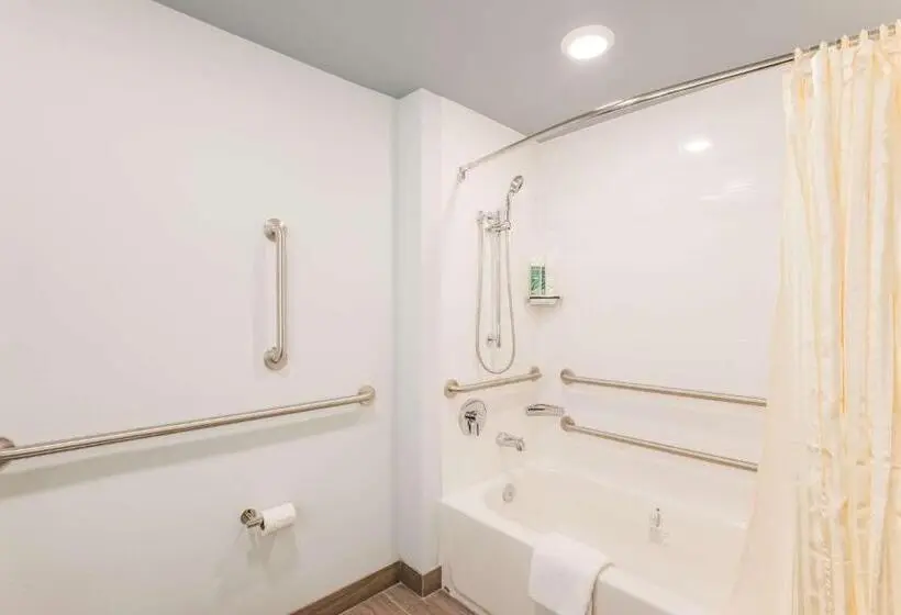身障者適用キングサイズベッドルーム, Heidel House Hotel And Conference Center, Ascend Hotel Collection