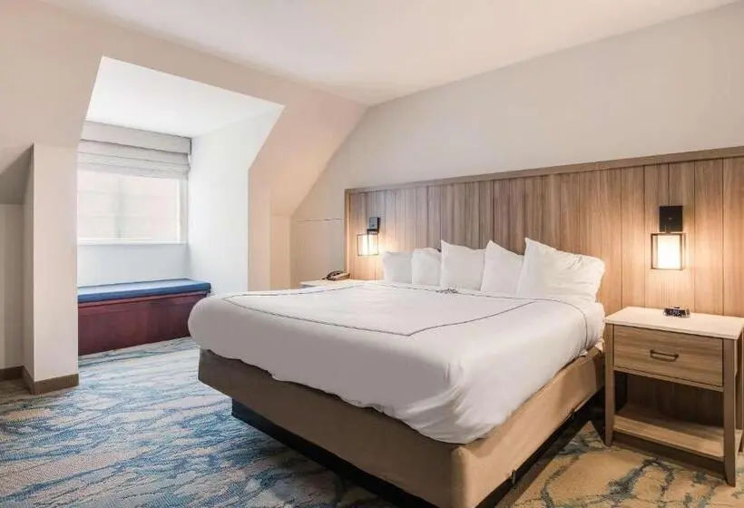 身障者適用キングサイズベッドルーム, Heidel House Hotel And Conference Center, Ascend Hotel Collection