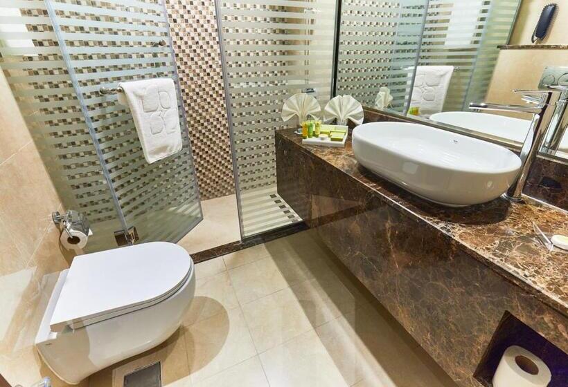 اتاق کلاسیک, Rose Plaza Hotel Al Barsha