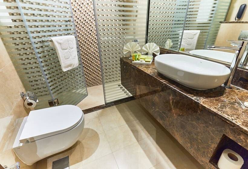 اتاق کلاسیک, Rose Plaza Hotel Al Barsha