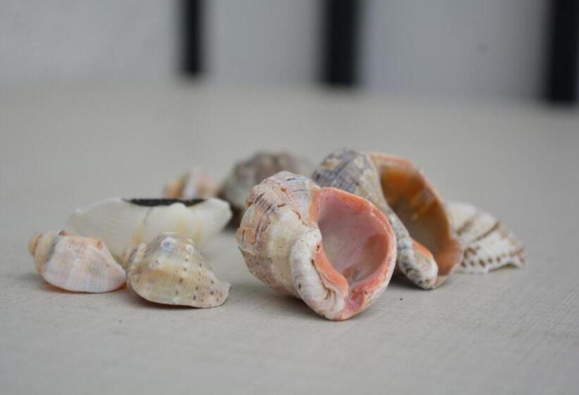 اتاق استاندارد, Niks