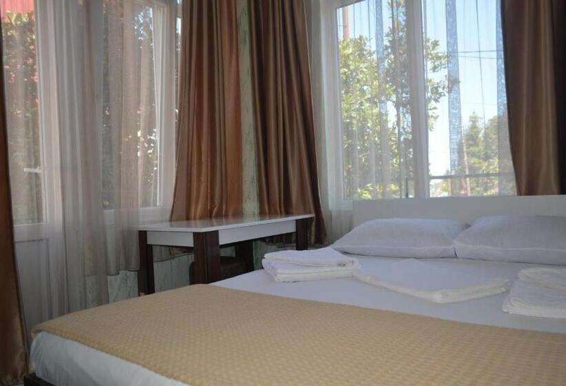 اتاق اکونومی یک تخته, Niks