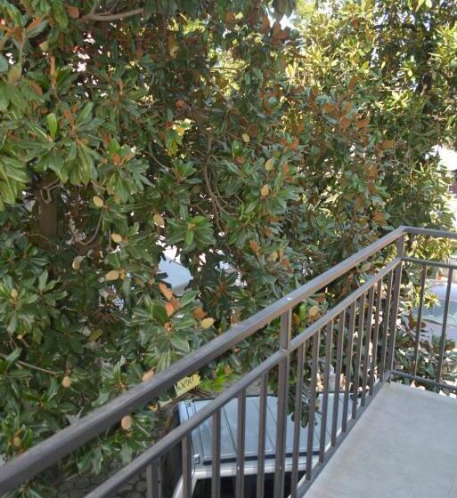 اتاق استاندارد, Niks