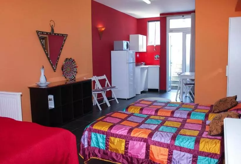 استودیوی استاندارد, Porto Riad   Guest House