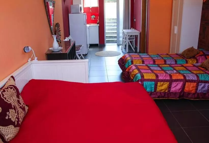 استودیوی استاندارد, Porto Riad   Guest House