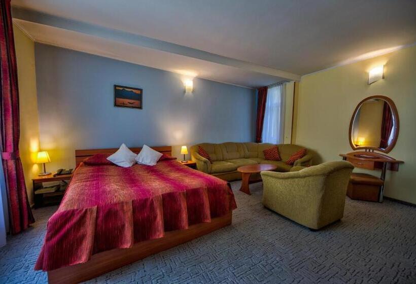 이코노미 룸, Ambient