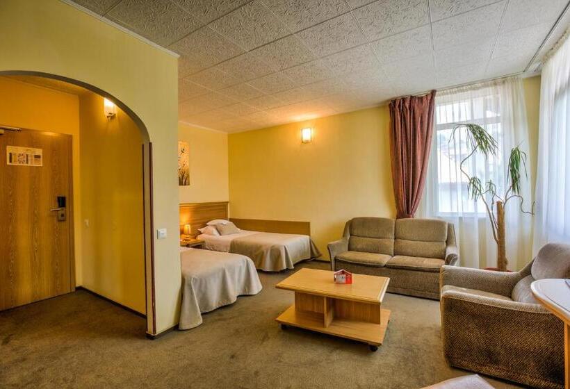 이코노미 룸, Ambient