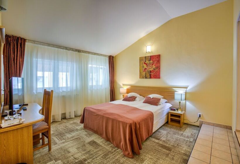 이코노미 룸, Ambient