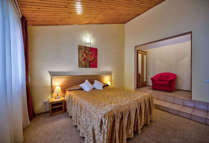 이코노미 룸, Ambient