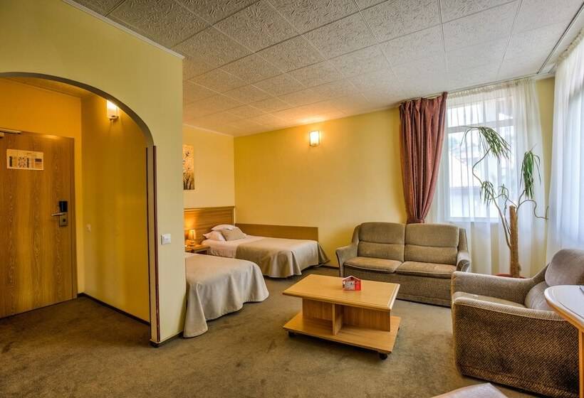 이코노미 룸, Ambient