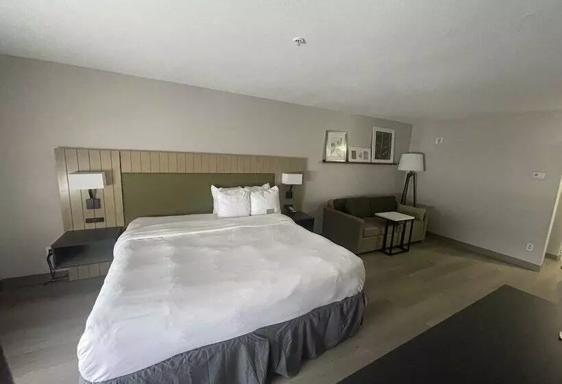 スイート, Country Inn & Suites By Radisson, Midway   Tallahassee West