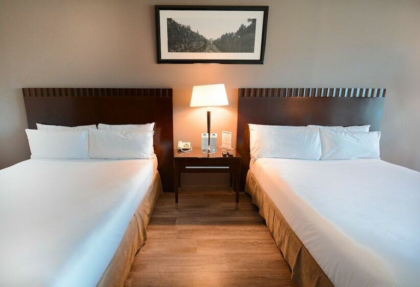 اتاق استاندارد, Diplomatic