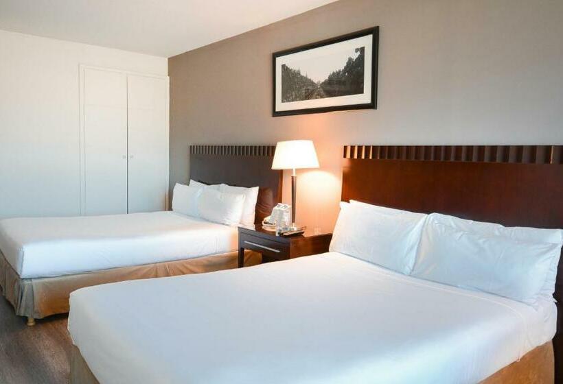 اتاق استاندارد چهار تخته, Diplomatic