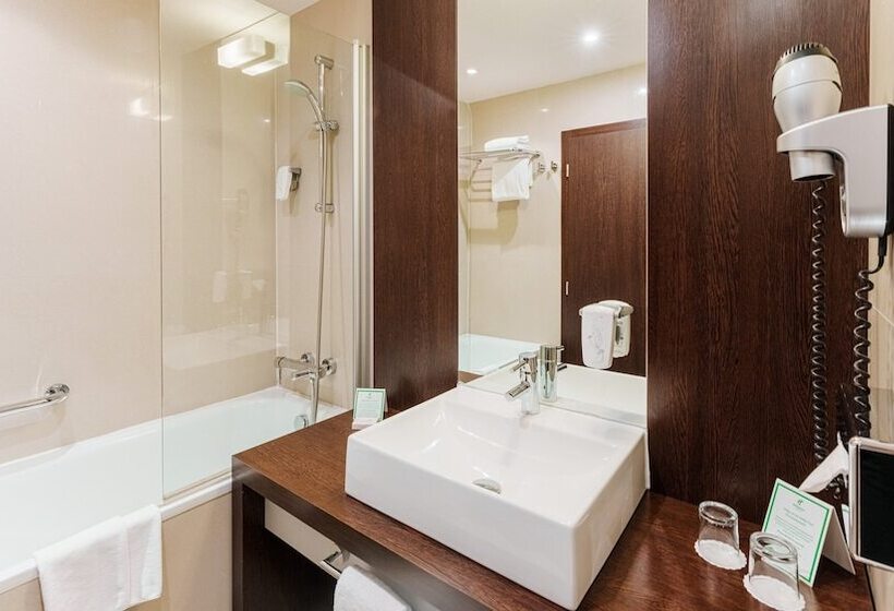 اتاق استاندارد با تخت دوبل, Holiday Inn Zilina, An Ihg