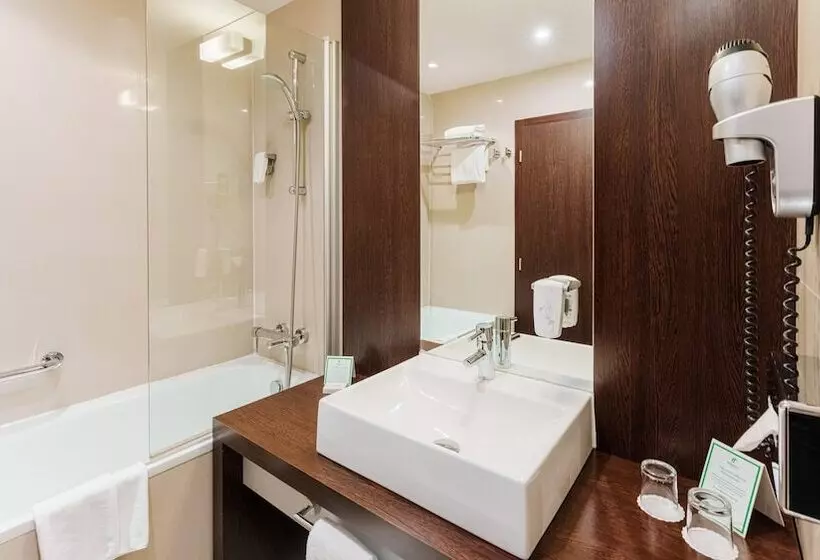 ダブルベッドスタンダードルーム, Holiday Inn Zilina, An Ihg
