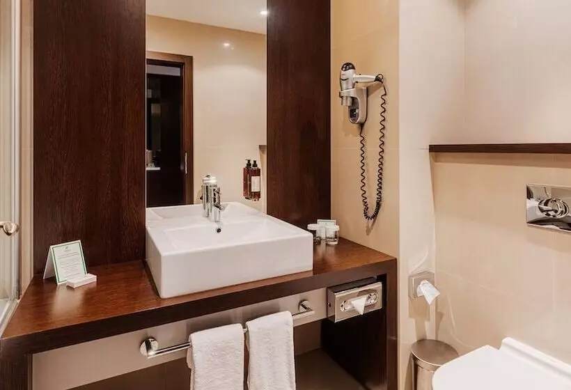 ダブルベッドスタンダードルーム, Holiday Inn Zilina, An Ihg