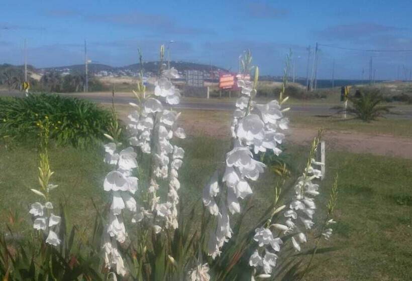 이코노미 룸, Playa Grande