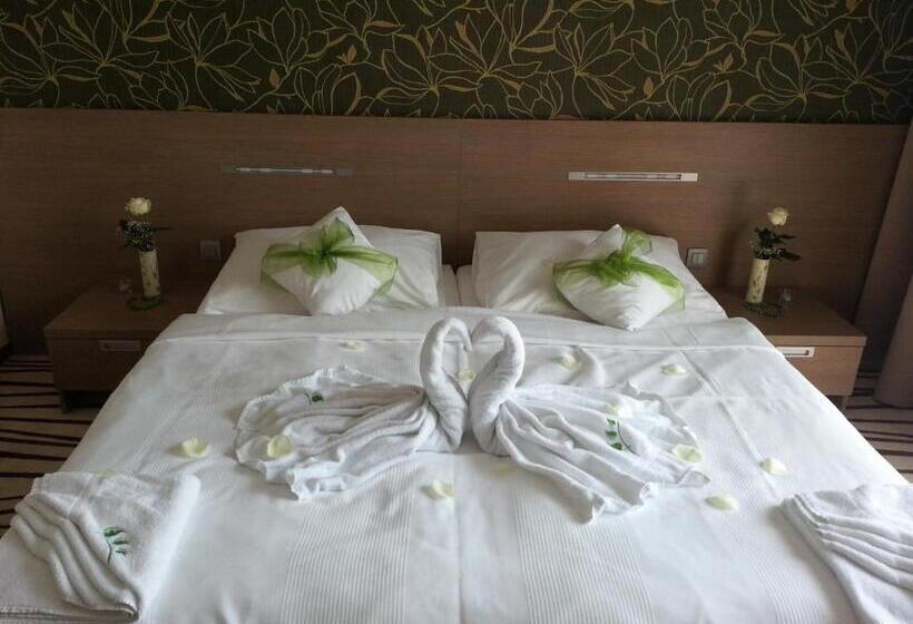 Suite Executive, Ponteo   Activity Park