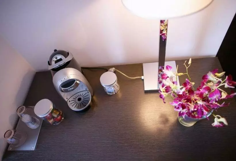 اتاق استاندارد, The One Hotel   Designed For Adults   Pet Lovers