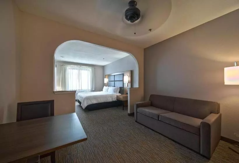 キングサイズベッドのデラックススイート, Wingate By Wyndham Houston Bush Intercontinental Airport