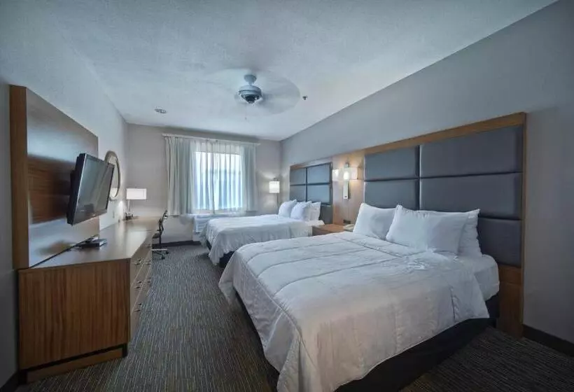 身障者適用スタンダードルーム, Wingate By Wyndham Houston Bush Intercontinental Airport