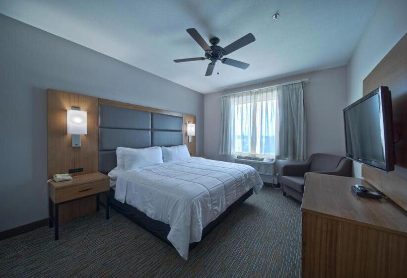 身障者適用キングサイズベッドルーム, Wingate By Wyndham Houston Bush Intercontinental Airport