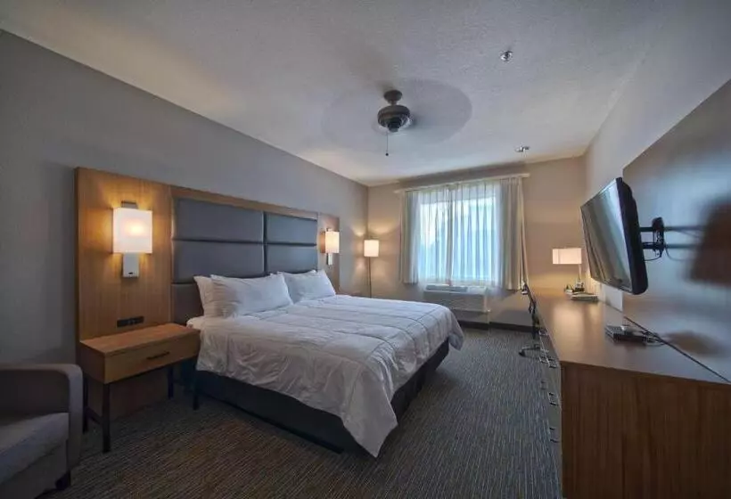 身障者適用キングサイズベッドルーム, Wingate By Wyndham Houston Bush Intercontinental Airport