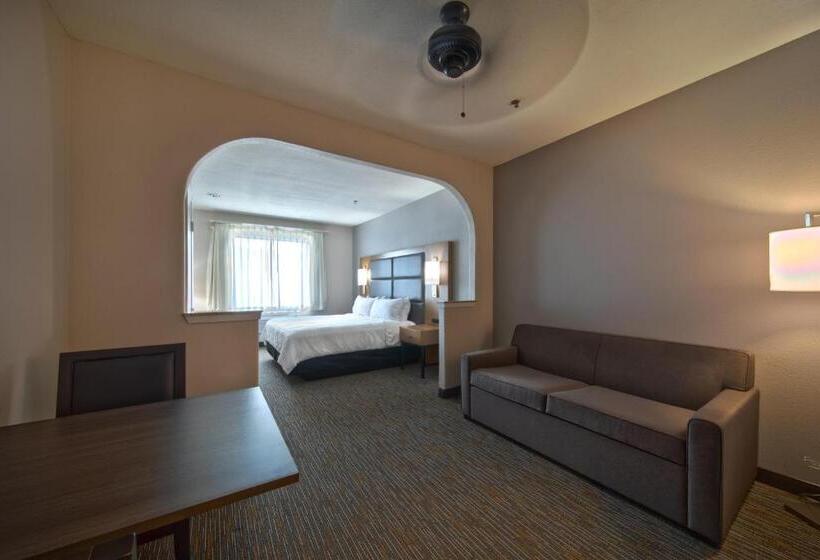 身障者適用スイートルーム, Wingate By Wyndham Houston Bush Intercontinental Airport