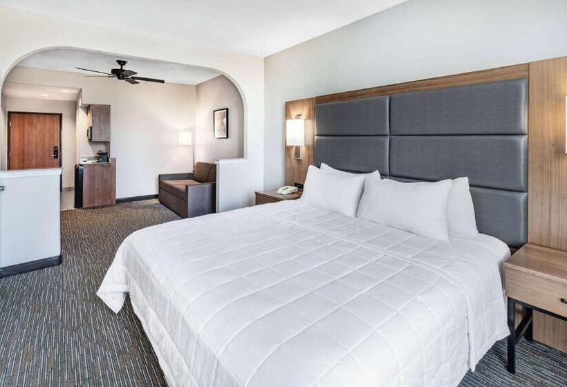 سوئیت برای معلولان, Wingate By Wyndham Houston Bush Intercontinental Airport