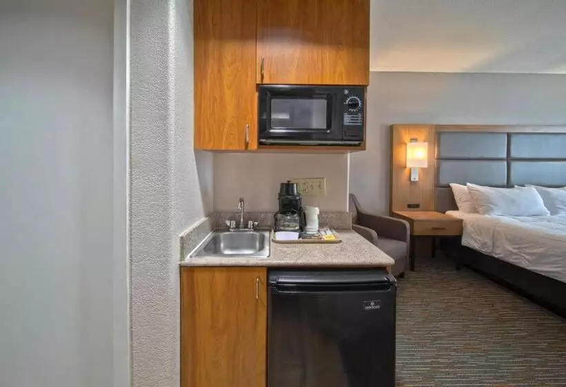 キングサイズベッドのスタンダードルーム, Wingate By Wyndham Houston Bush Intercontinental Airport
