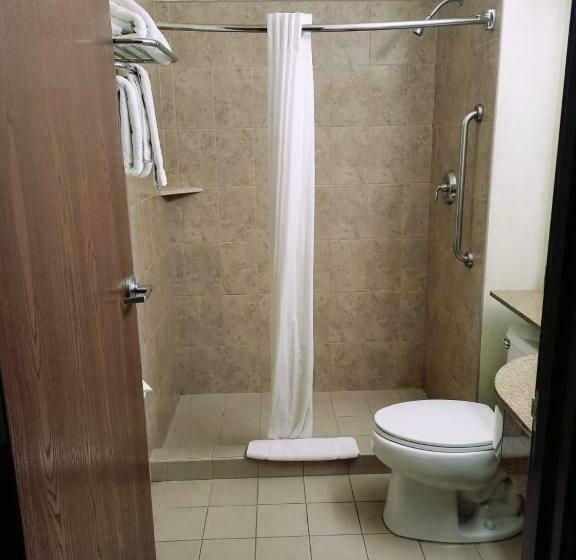 标准间, Microtel Inn And Suites By Wyndham Toluca