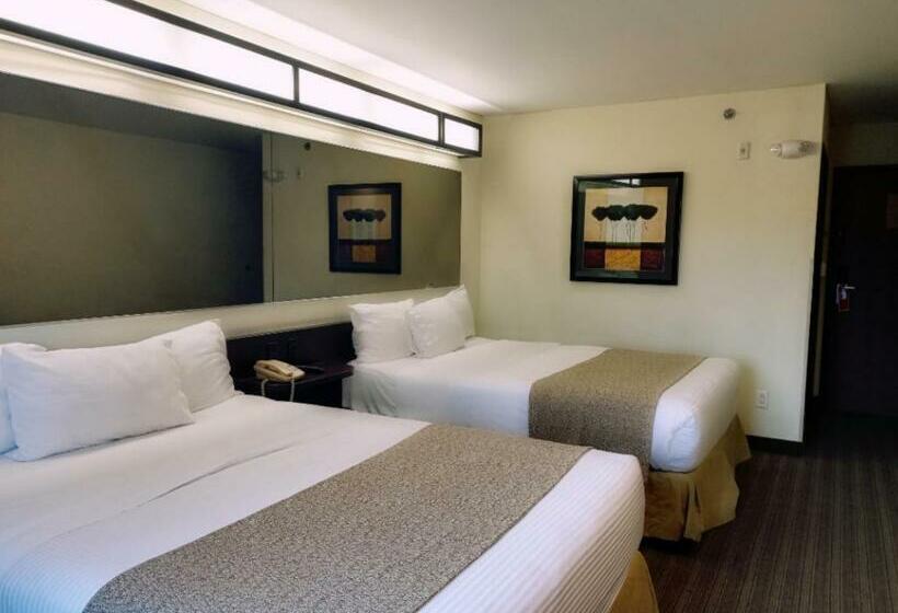 标准间, Microtel Inn And Suites By Wyndham Toluca