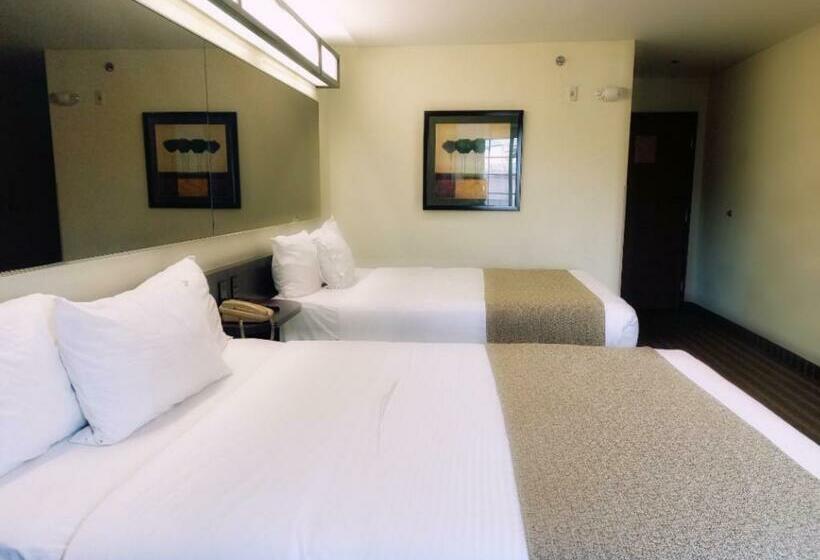 标准间, Microtel Inn And Suites By Wyndham Toluca