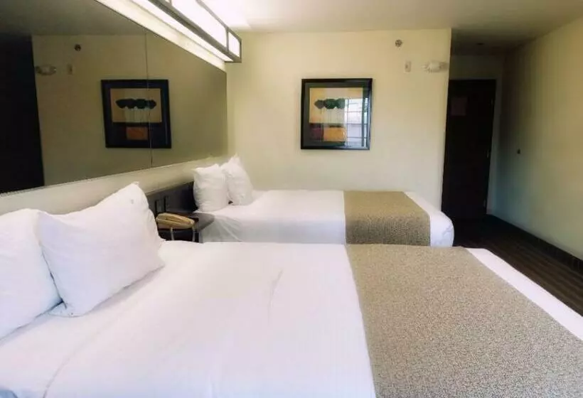 اتاق استاندارد, Microtel Inn And Suites By Wyndham Toluca