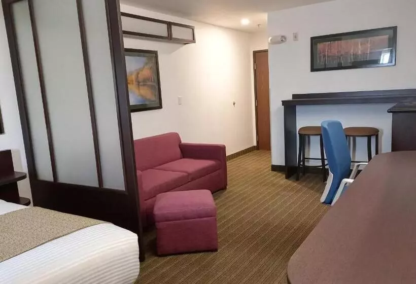 سوییت, Microtel Inn And Suites By Wyndham Toluca