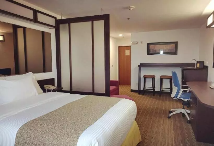 سوییت, Microtel Inn And Suites By Wyndham Toluca