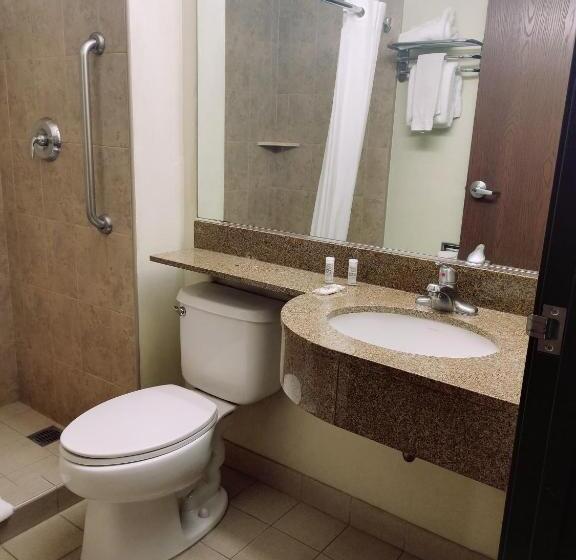 套房, Microtel Inn And Suites By Wyndham Toluca