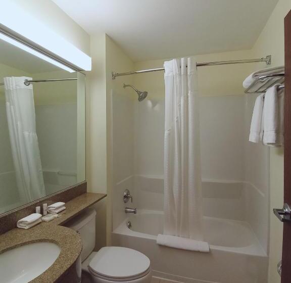 套房, Microtel Inn And Suites By Wyndham Toluca