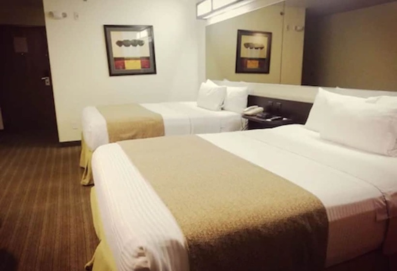 标准间, Microtel Inn And Suites By Wyndham Toluca