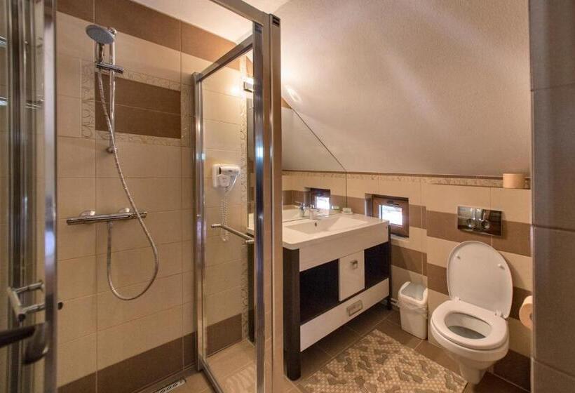 Номер Стандарт, Pensiunea Cretuca